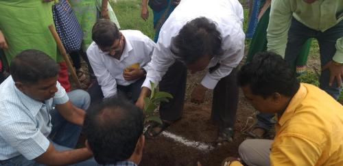 Tree Plantation-1