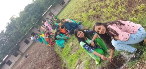 Tree Plantation-11