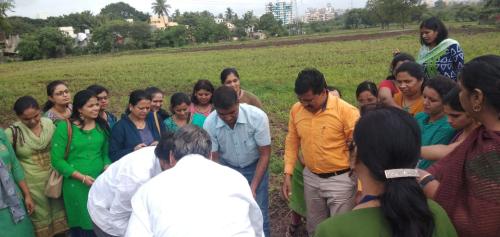 Tree Plantation-12