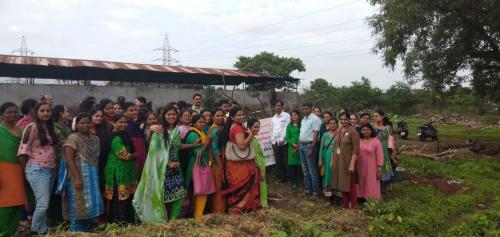 Tree Plantation-13