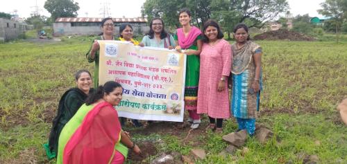 Tree Plantation