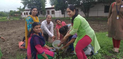 Tree Plantation-2