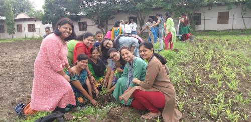 Tree Plantation-3