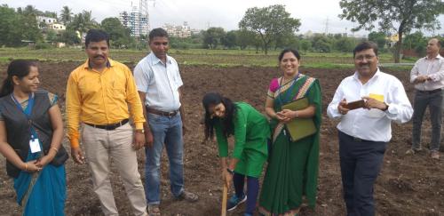 Tree Plantation-4