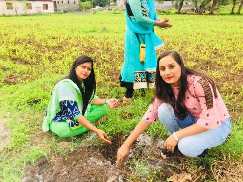 Tree Plantation-8